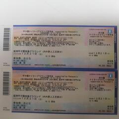 【特価・急募】12/21甲子園ナイターグラウンド見学会（2枚）
