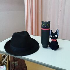 新潟県内にて地球防衛軍軍団員募集中です。