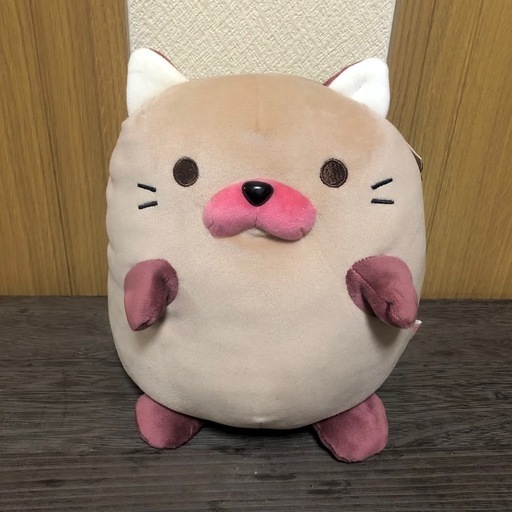 ごろねこサミット　おすわりタイプ　いまだ