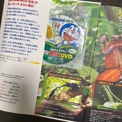 図鑑　昆虫　　　の画像
