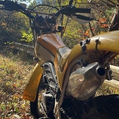 ホンダ2st tlm200の画像