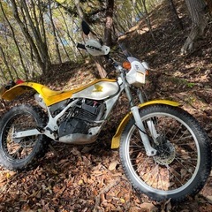 ホンダ2st tlm200の画像