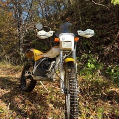 ホンダ2st tlm200