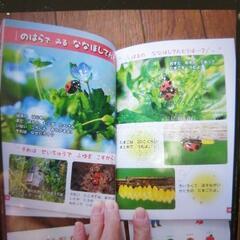 ミニ図鑑6冊セット　しぜんのふしぎ大図鑑　さんぽずかん　どこでもずかんの画像