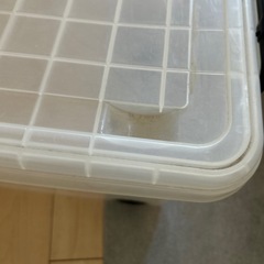 《2つあります！》
キャリーケースの画像