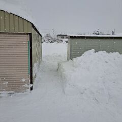 美唄市で除雪が必要な方‼️ - 美唄市