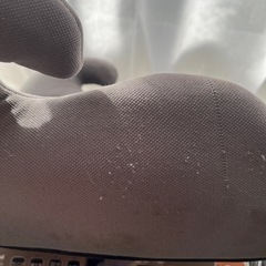 差し上げます！ジュニアシートの画像