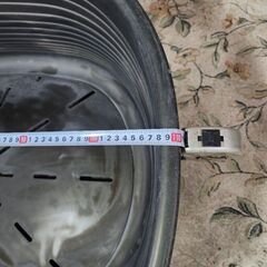 大型犬　ベット　の画像