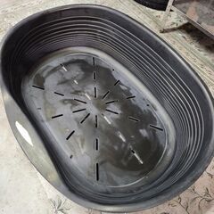 大型犬　ベット　