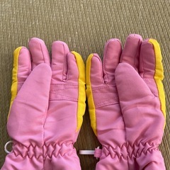子供用
スキー手袋の画像