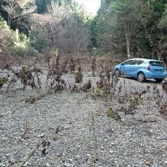 自然の中でソロキャンプはいかが？