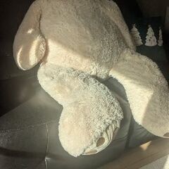 コストコベア　くまの画像