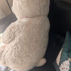 コストコベア　くまの画像