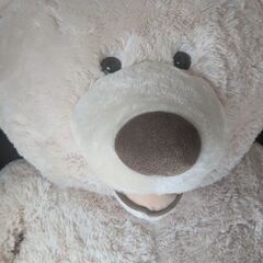 コストコベア　くま