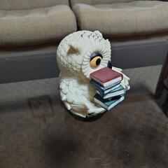 [縁起物]書物を持ったフクロウの貯金箱の画像