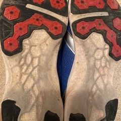 瞬足（22㎝）の画像