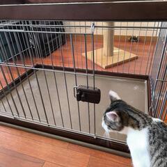 ペット用ケージの画像