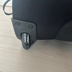 イーグルクリーク　バックパック（美品の防水防犯カバー付）の画像