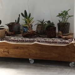 【植物棚】DIY  木製 ※棚のみ　年内まで受付の画像