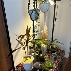 【植物棚】DIY  木製 ※棚のみ　年内まで受付