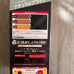 ホーユー 黒染め ナチュラルブラックの画像