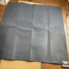 ホットカーペットの画像