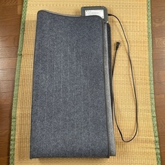 ホットカーペットの画像