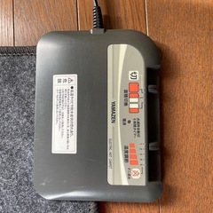 ホットカーペットの画像