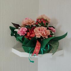 クリスマスＦアレンジメントの画像