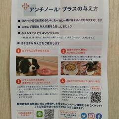 【ペット用品】犬用サプリメント VetzPetzアンチノール+の画像