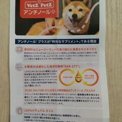 【ペット用品】犬用サプリメント VetzPetzアンチノール+の画像