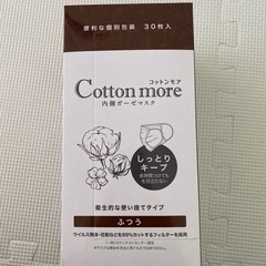 アイリスオーヤマ  使い捨てマスク30枚