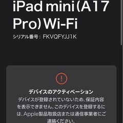 iPad mini Wi-Fi 256gb  スペースグレイの画像