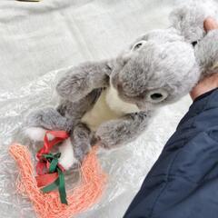 うさぎのぬいぐるみの画像