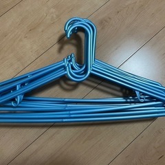 大人洗濯ハンガー10個