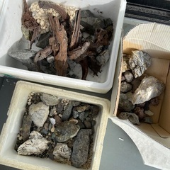 アクアリウム用 レイアウト 青華石 風山石 流木