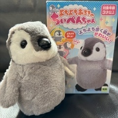 よちよちあるきのちいぺんちゃん