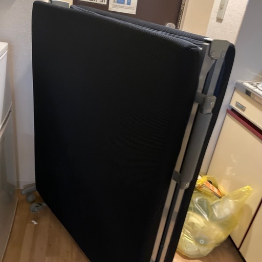 まとめて引取り可能な方！