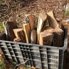 コロ薪 広葉樹ミックスの画像