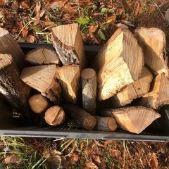 コロ薪 広葉樹ミックスの画像