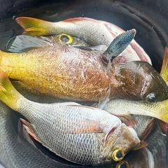 免許不要ボートレンタル・魚探付き・ − 沖縄県