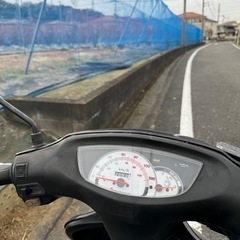 ホンダ　ライブディオの画像