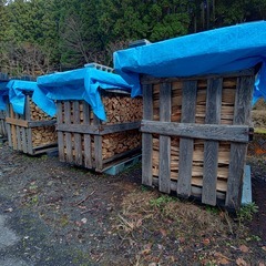 京丹波町　格安限定　未乾燥薪　ナラ　クヌギ　約1.4㎥　1000kg 程度の画像