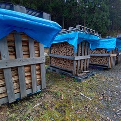 京丹波町　格安限定　未乾燥薪　ナラ　クヌギ　約1.4㎥　1000kg 程度の画像