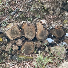 薪の画像