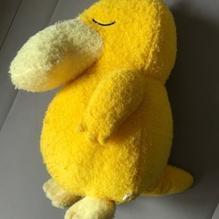 【レアもの】おやすみコダックの画像