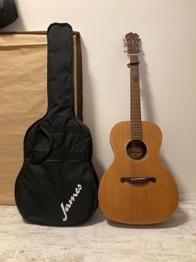 james JP600NS ギター　ジェームス