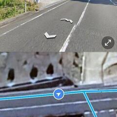 竹、林の木　いつでも好きなだけどうぞ。の画像