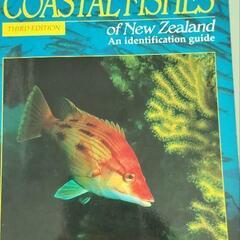 モルディブ　オーストラリア　ニュージーランド　魚　海の生物　図鑑の画像