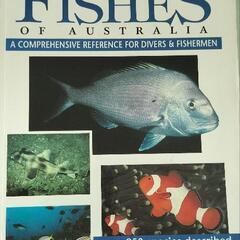 モルディブ　オーストラリア　ニュージーランド　魚　海の生物　図鑑の画像